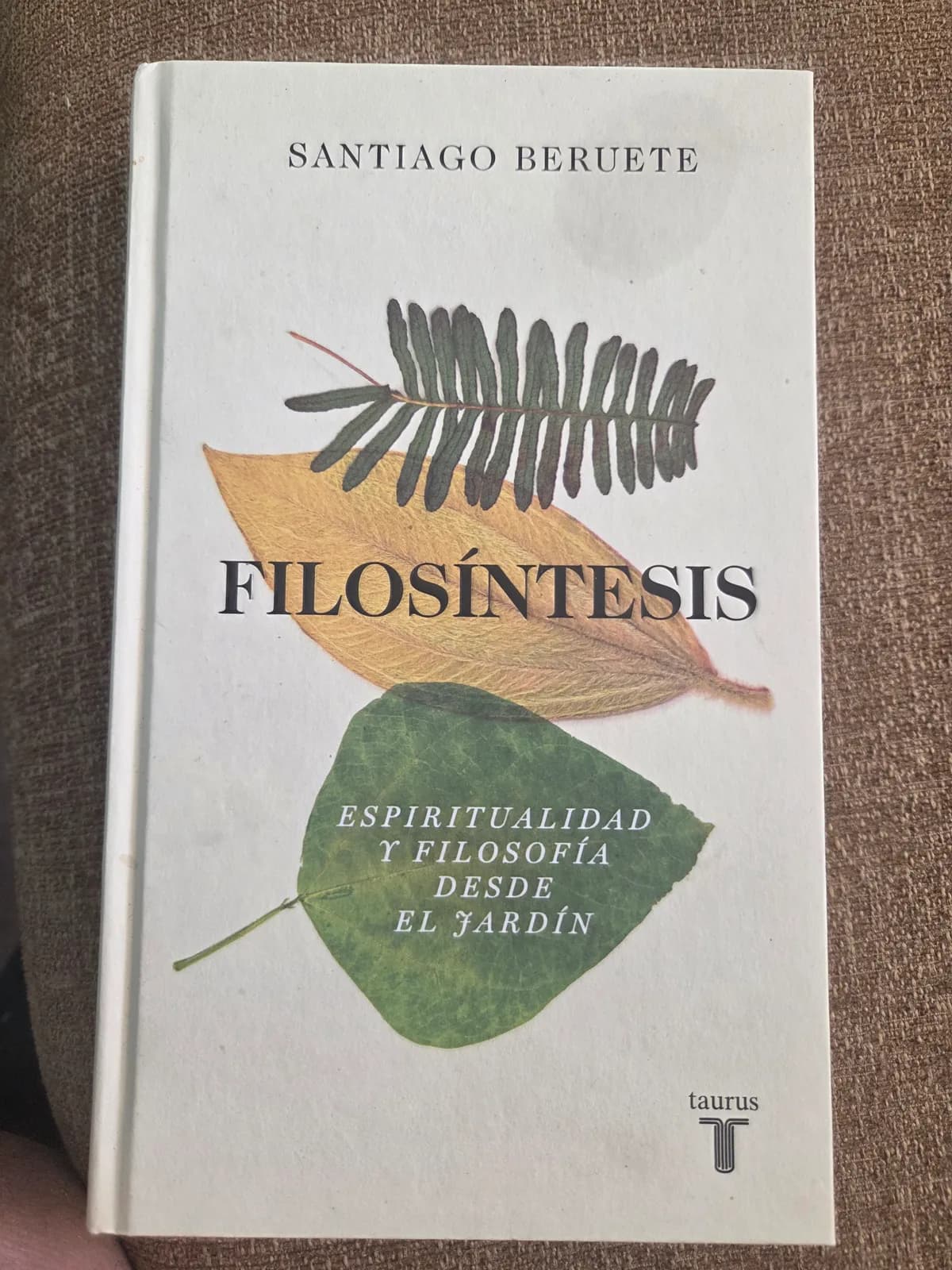 Libro usado Filosíntesis de Santiago Beruete. Portada blanca con hojas verdes y amarillas.